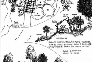 3e150f9f833904607407c1b20b908afb